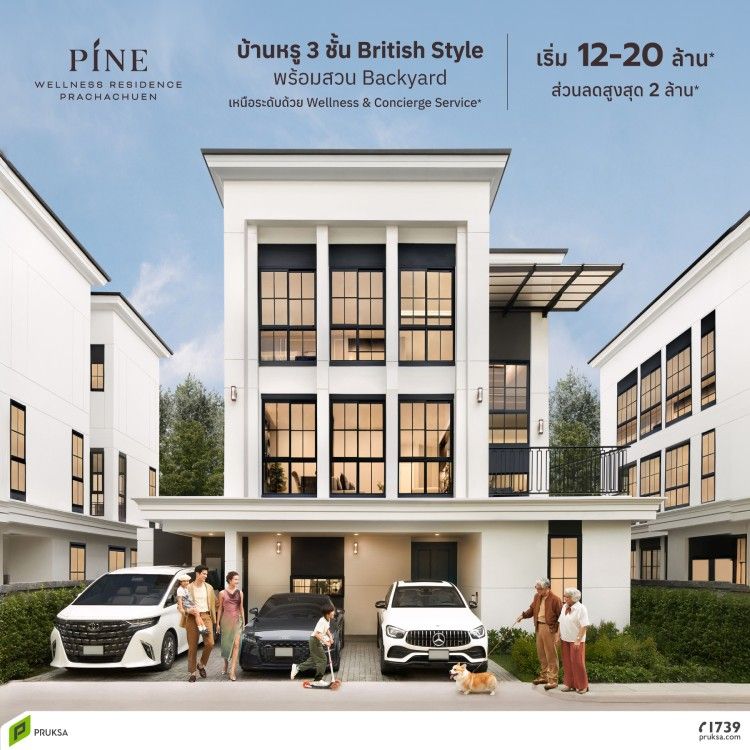 241029 Pine for Web 2