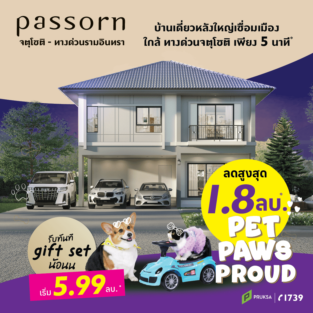 Artboard 8 0  1    Copy