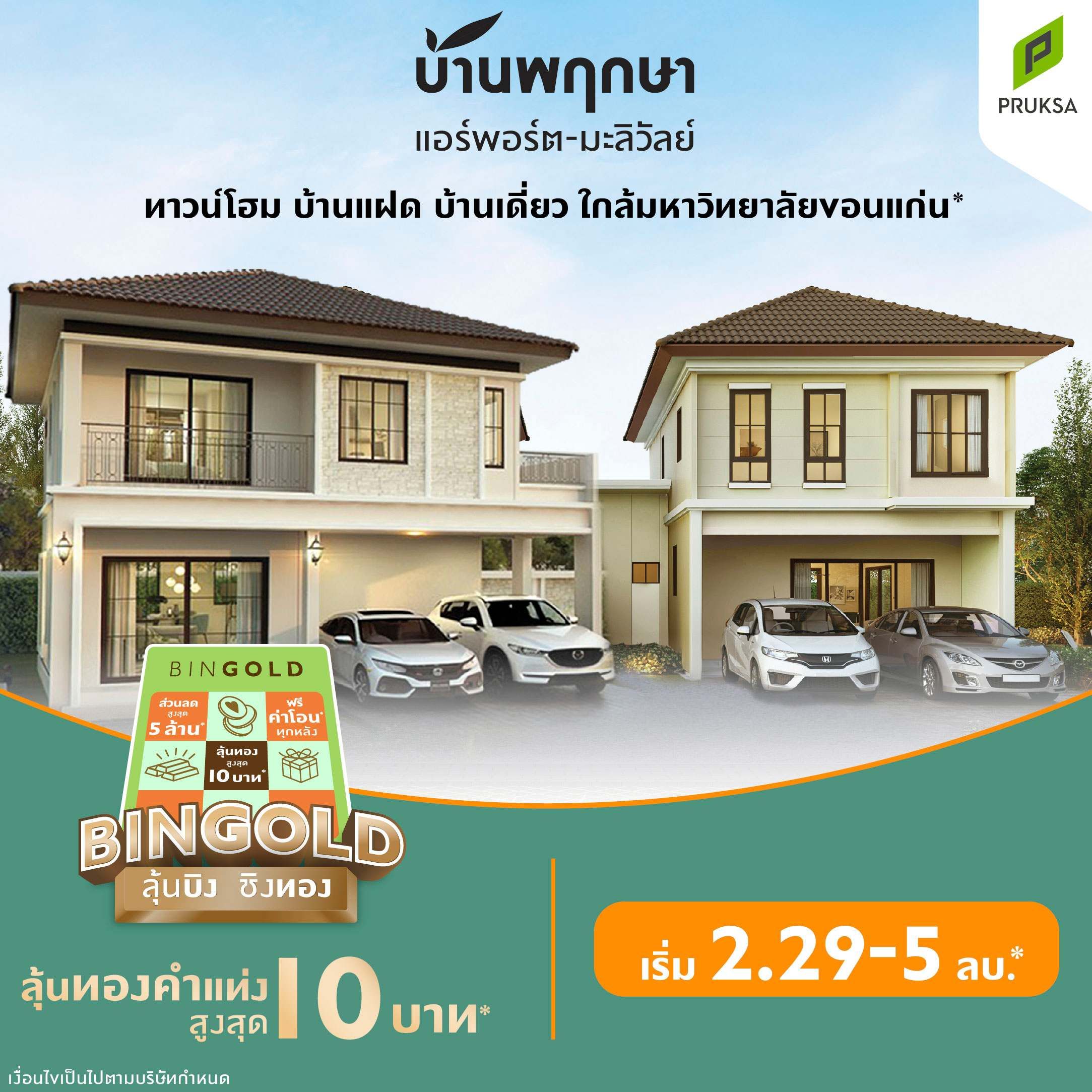 Bingold Pk153 01 11zon  1 