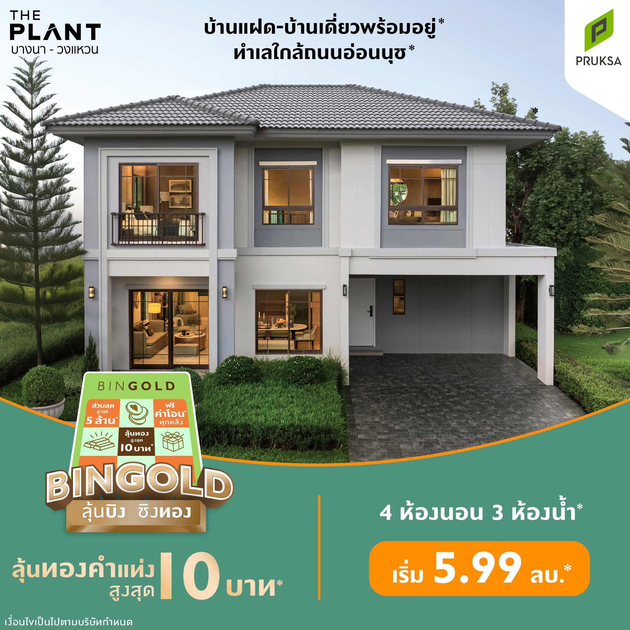 Bingold Ps102 01 11zon