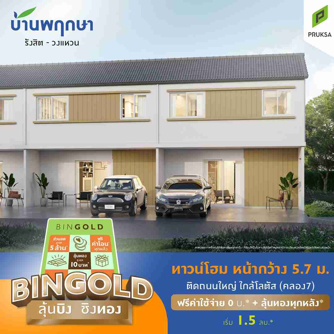 PK131 bingold