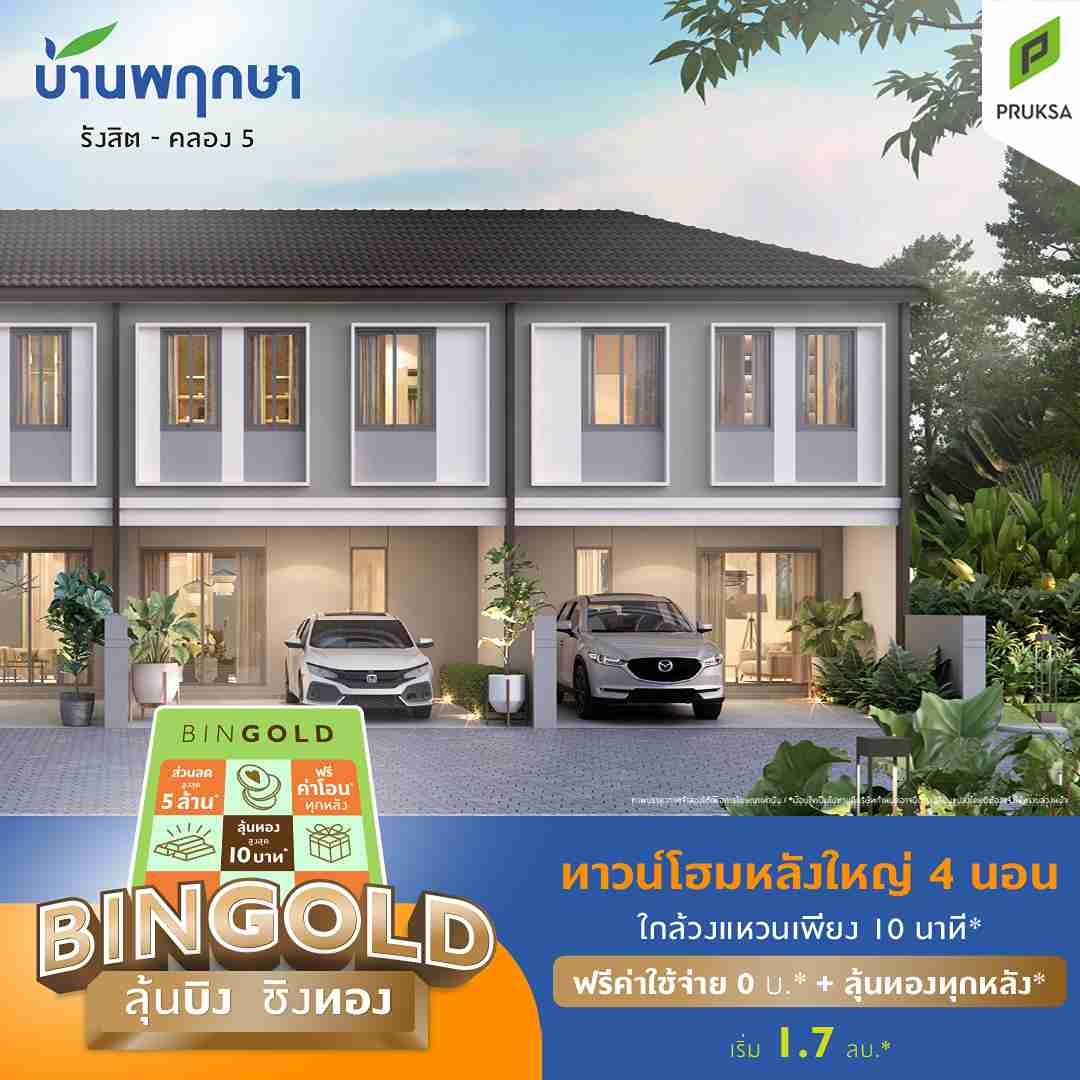 PK154 bingold