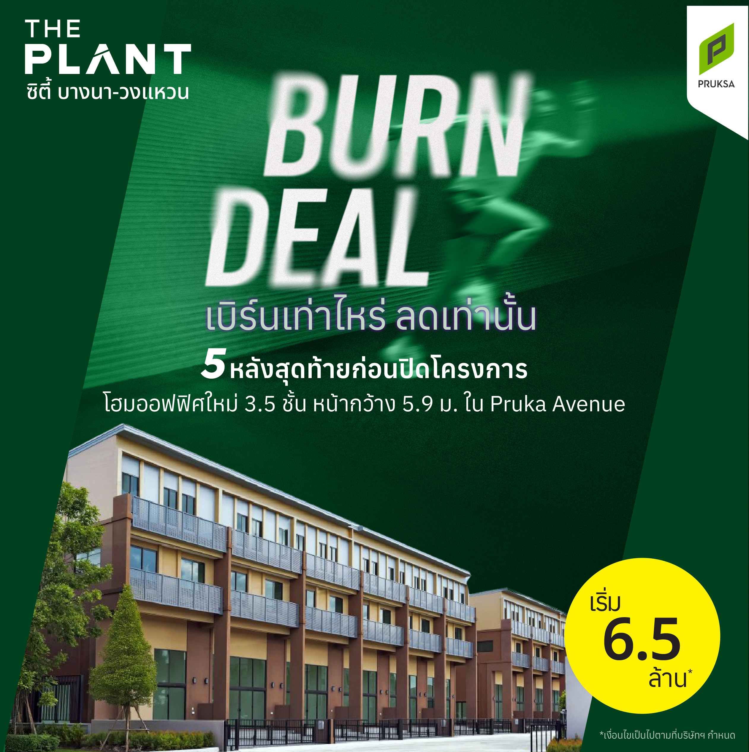 PS RP BrunDeal 2  PS85 11zon  1 