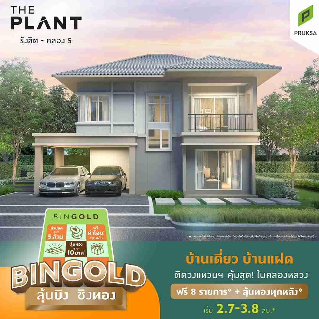 PV51 bingold
