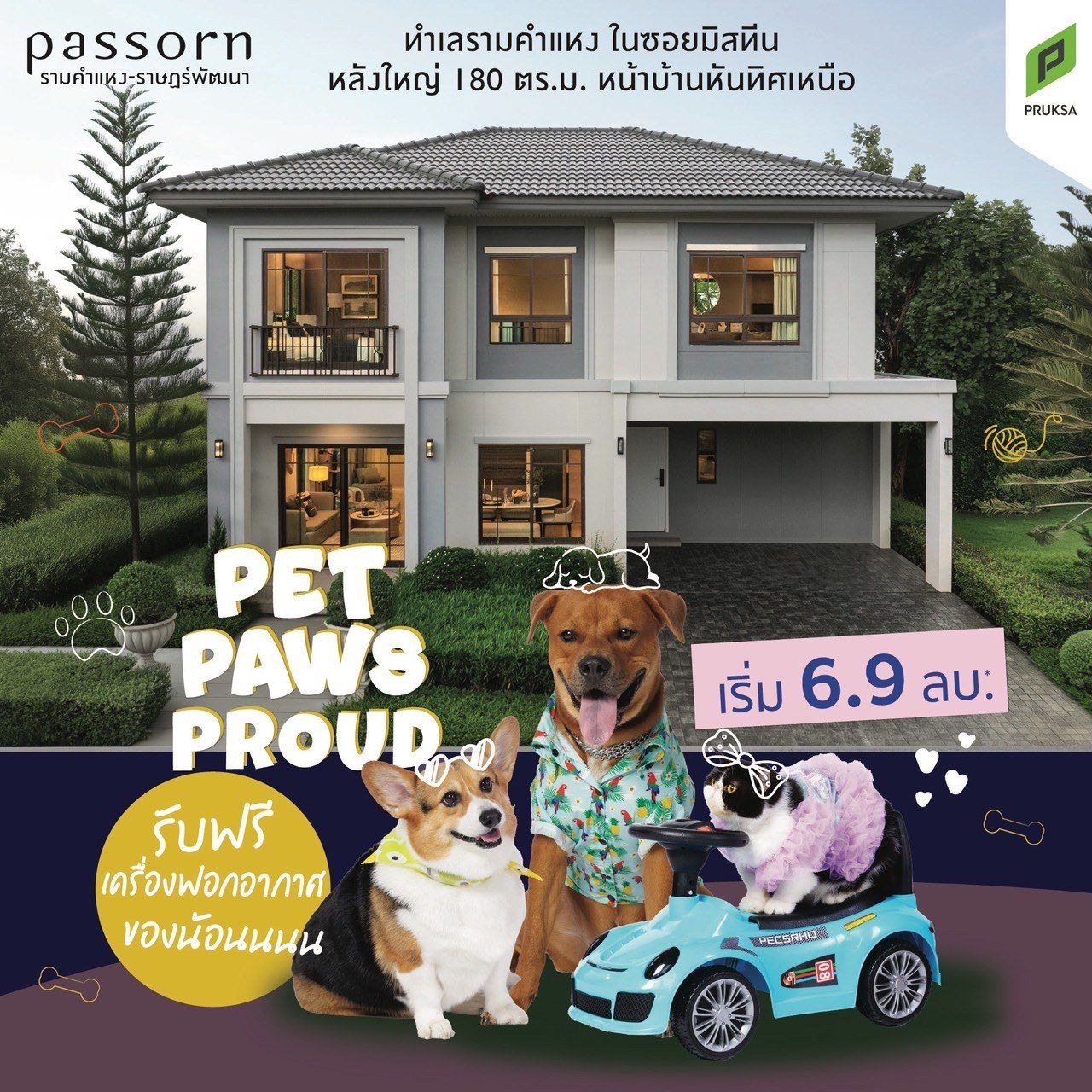 S  146833505 0   Copy 11zon