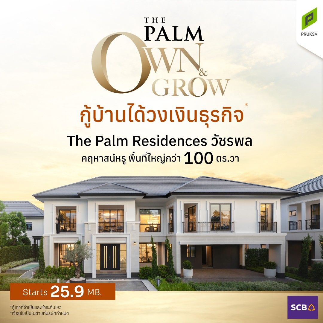 The Palm 11zon 1