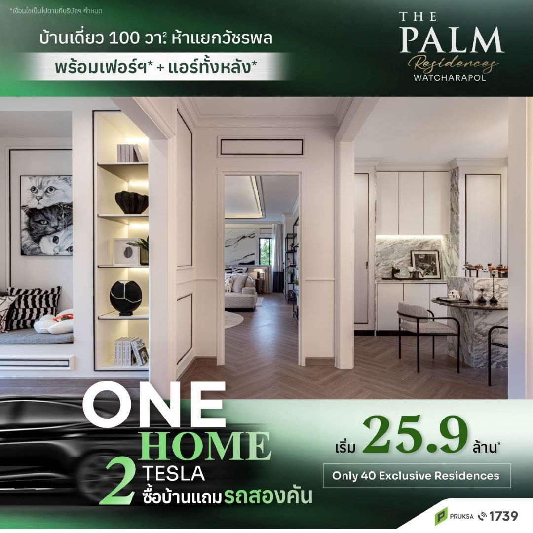 ThePalm ps106M