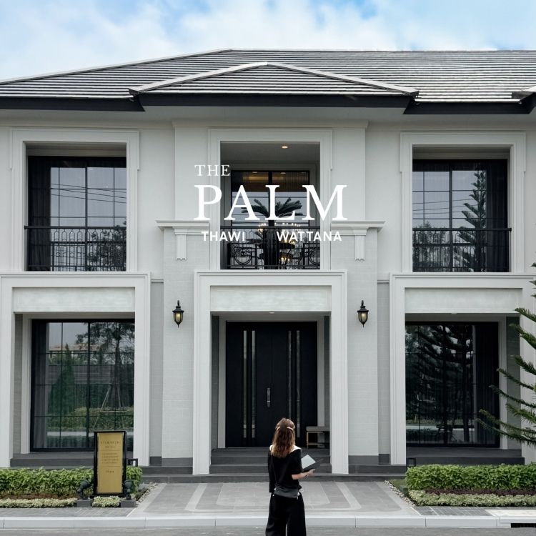 all promotion mobile