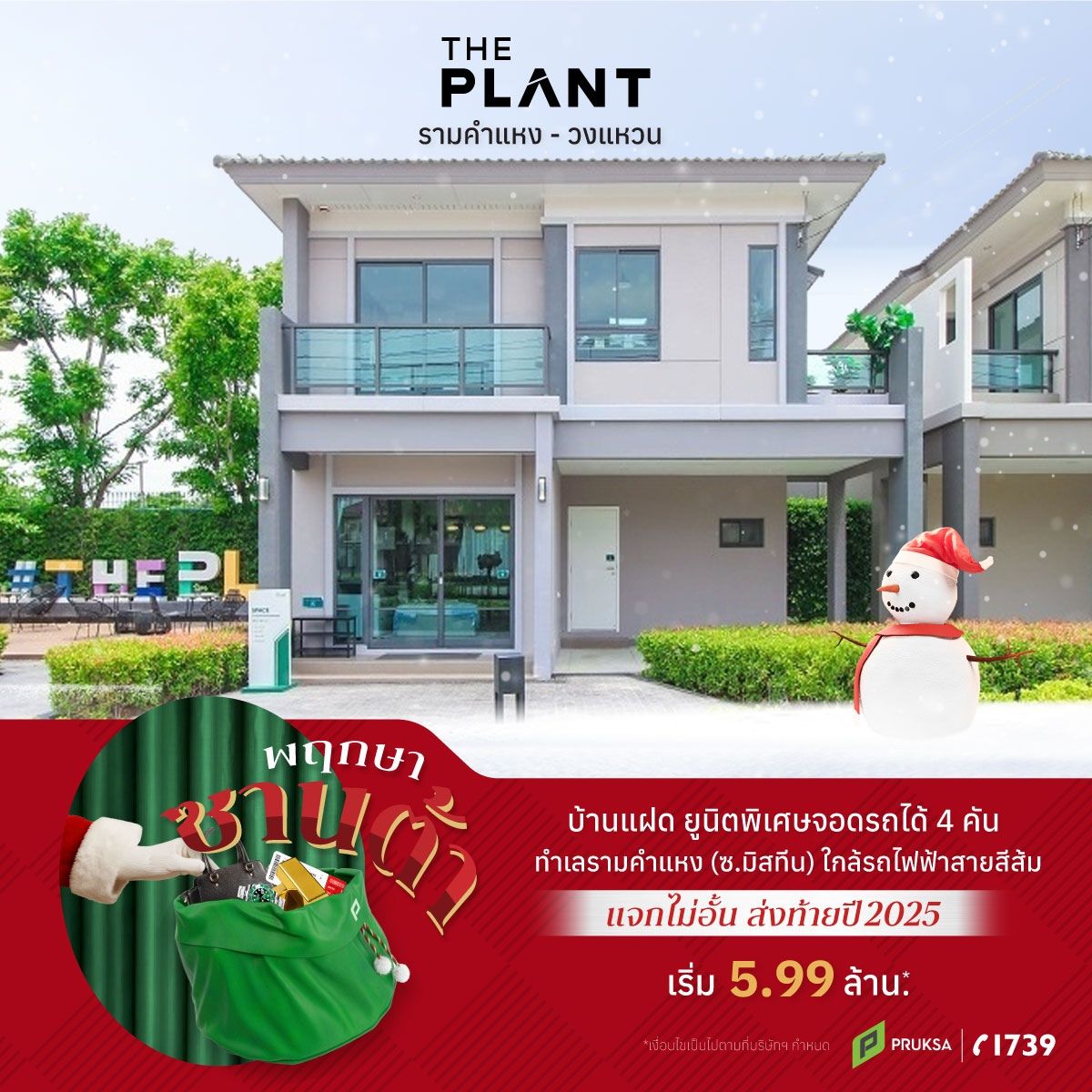 พฤกษาซานต้า  1 