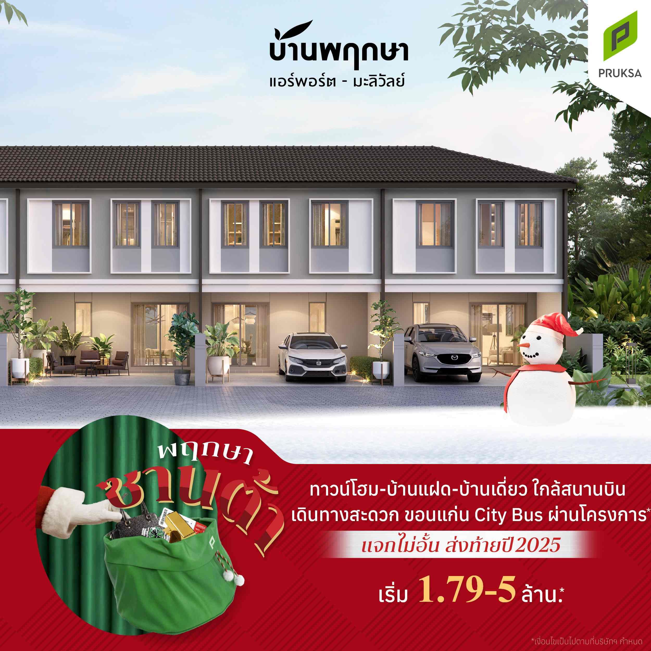 พฤกษาซานต้า PK153  1   2 