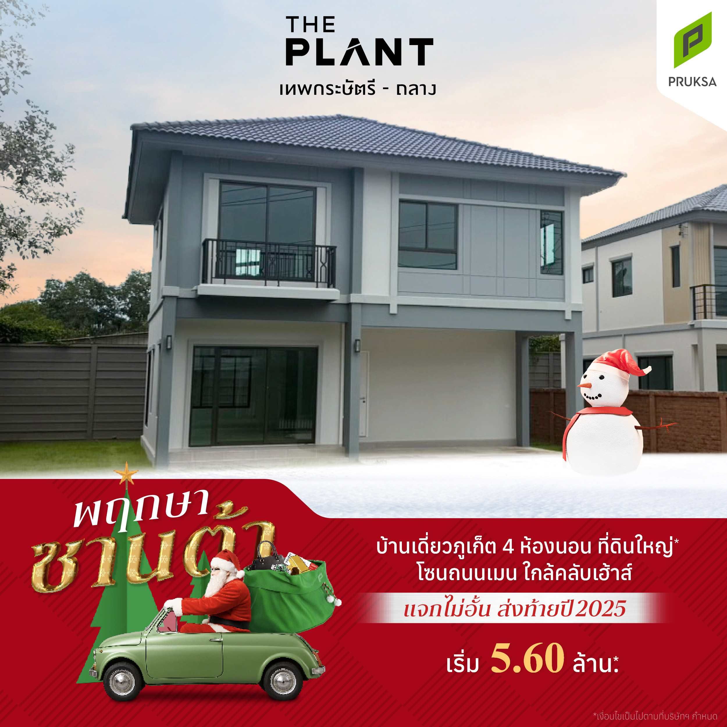 พฤกษาซานต้า PS76 2