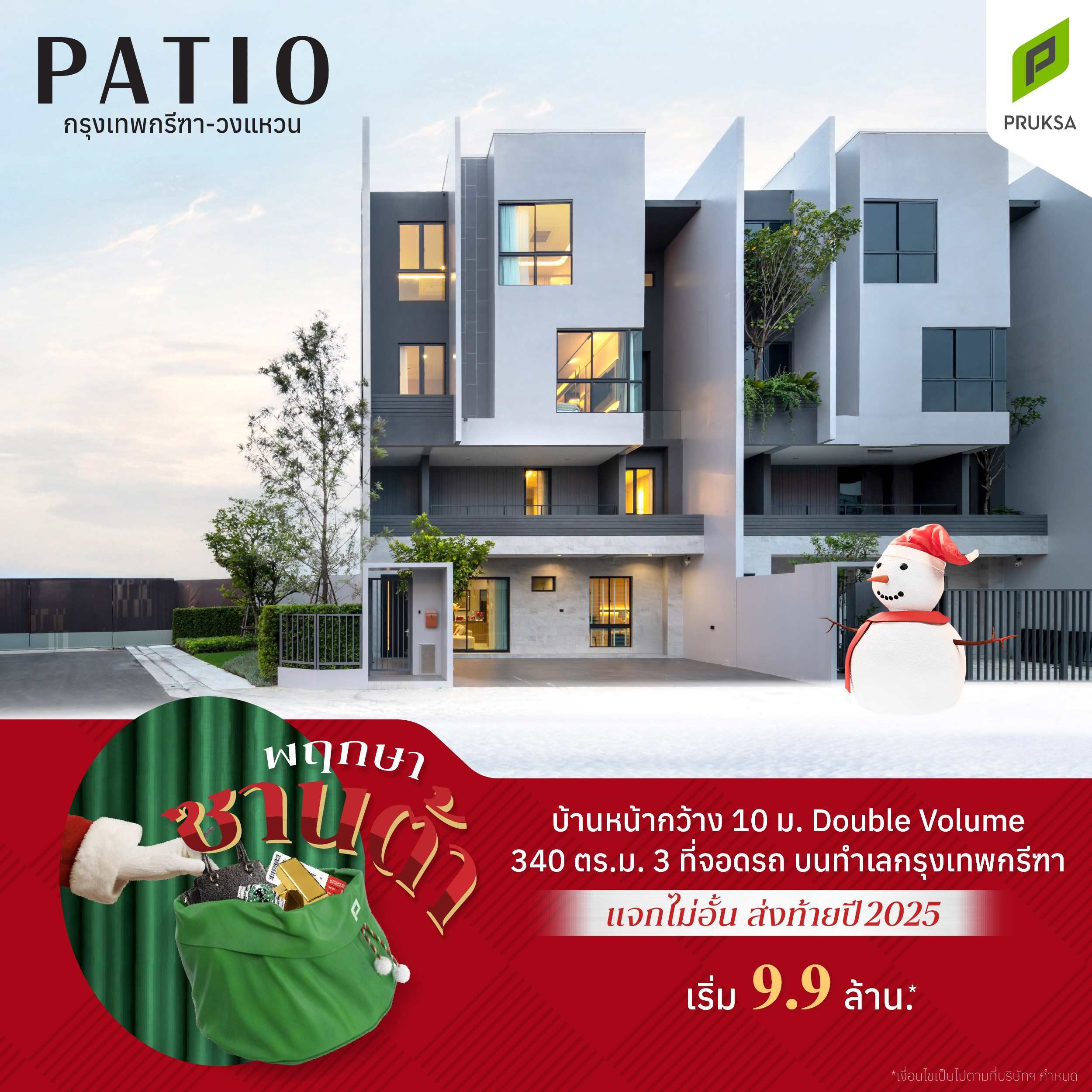 พฤกษาซานต้า Palm PAT07  2 