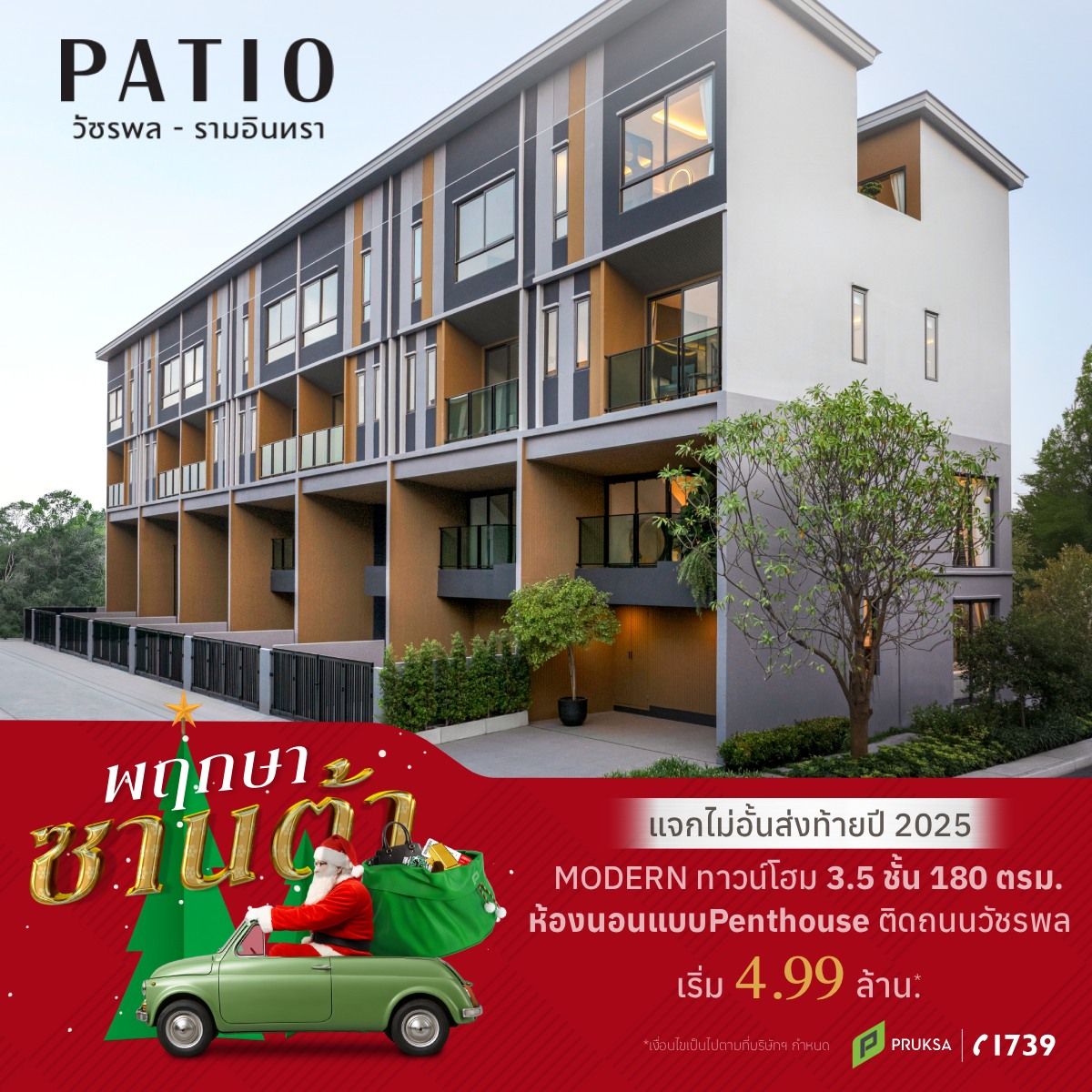 พฤกษาซานต้า Palm TWN  1   2 