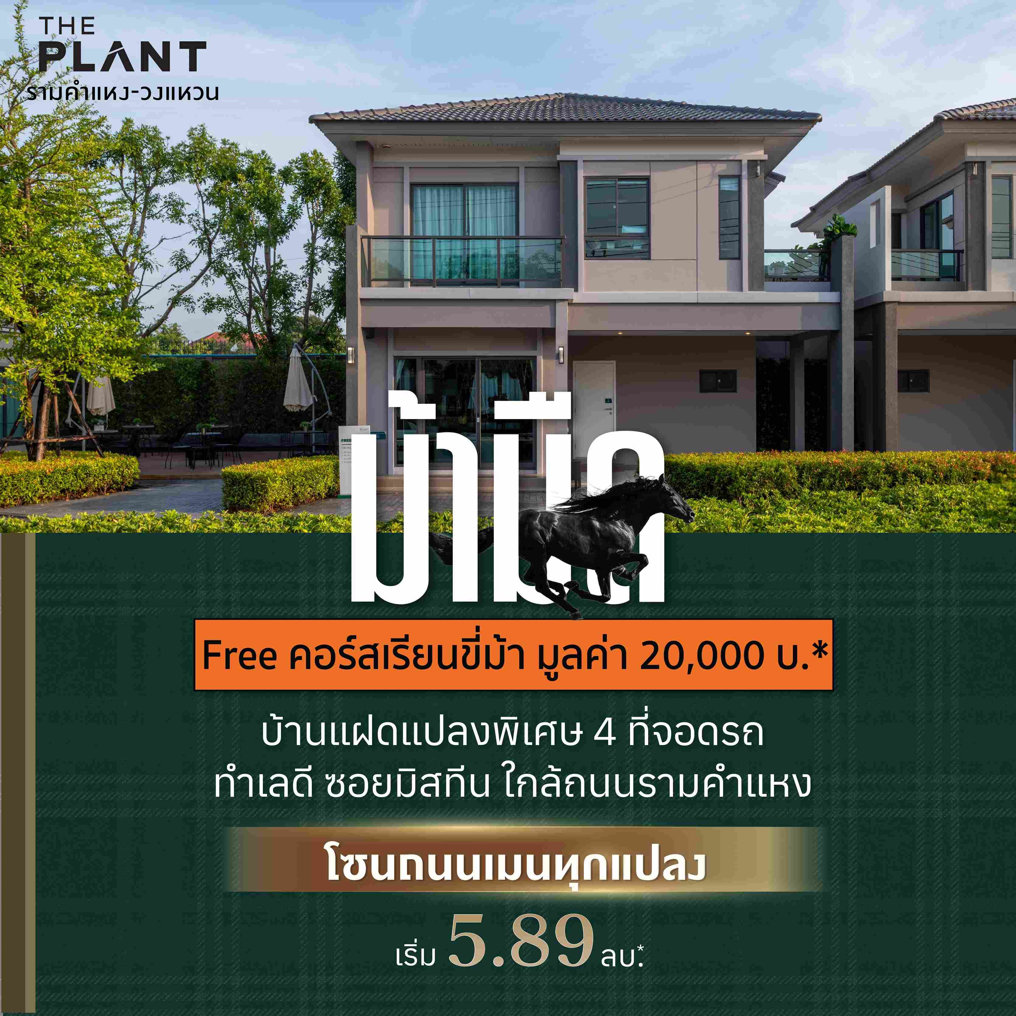 ม้ามืด PV55 1