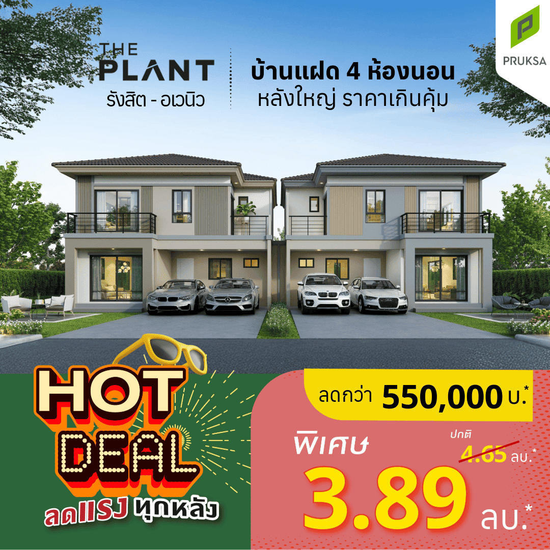 แฝด1   Copy  1 